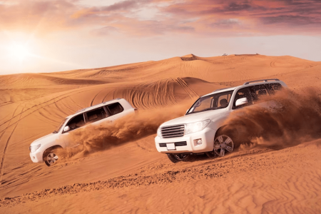 Private Desert Safari Tour in Dubai