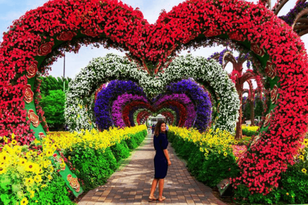 Dubai Miracle Garden Tour with Transfer